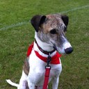 Heather Johnstone - @hjohnstone14 - Twitter