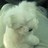 144Rascal's profile image