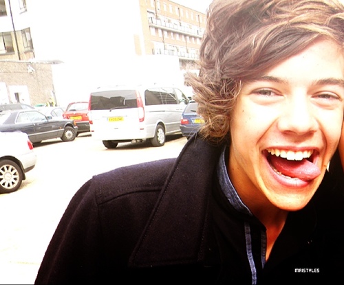 notstyles's profile picture. If God is watching us, the least we can do is be entertaining.