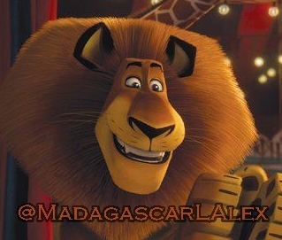 The Official Twitter Page of Alex the Lion.