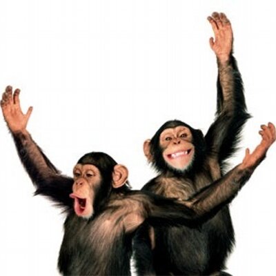 Drunken Monkey (@DrunkenMonkeySI) | Twitter
