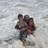 tomcat1075's profile image