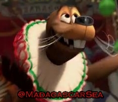 The Official Twitter Page of Stefano the Sealion.