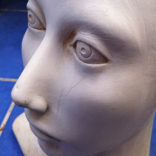 salvamocci's profile picture. 