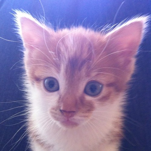 AmandaMcEwan1's profile picture. 