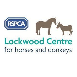 RSPCA Lockwood Centre for Horses and Donkeys, one of the UK’s oldest donkey centres is now an equine specific rehabilitation centre. Our animals need you!