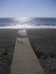 btrizi's profile picture. 