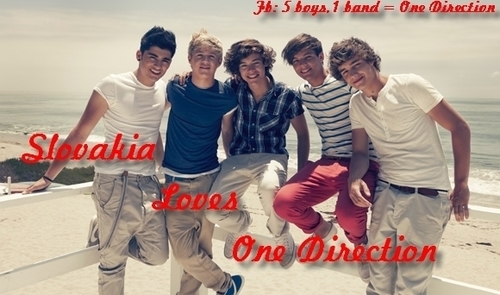OneDirectionSR1's profile picture. Hi, We're Directioners from Slovakia.Slovakia Loves One Direction Forever and Ever.Boys Please follow us.