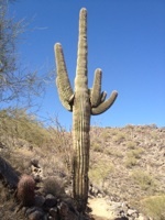 ryane75's profile picture. 