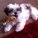 Julie Vickers - @Julievickers47 - Twitter