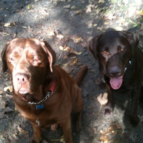 NumManUtdFan's profile picture. #MUFC