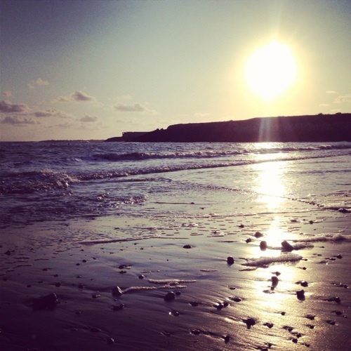 ausfliegen's profile picture. 