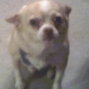 Jean Rowell - @jean_rowell - Twitter