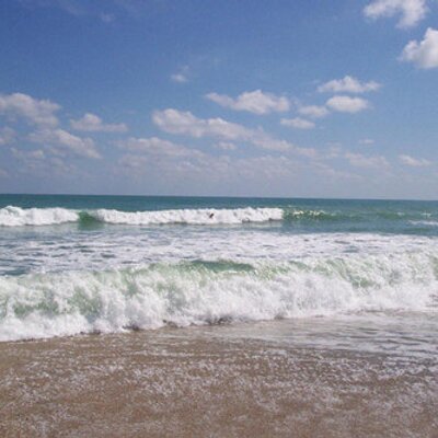 Hutchinson Island Fl On Twitter Awe Check Out The Bobcats Hutchinson Island Fl On Twitter Awe