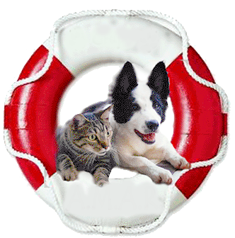 Somos una Asociación de personas que buscamos el Bienestar para a los animales.. realizamos campañas de adopción y de esterilización sin fines de lucro.
