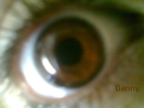 DannyDee243's profile picture. 15. Carefree,, Directioner!!