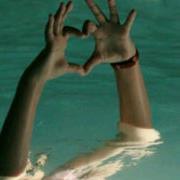 A_AN9ARI's profile picture. سامح وابتسم و تذكر اننا عن هذه الدنيا راحلون