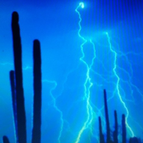 Joemamapoole's profile picture. 