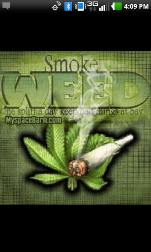 follow for the best weed tweets, facts and more. #stayhigh #stonernation