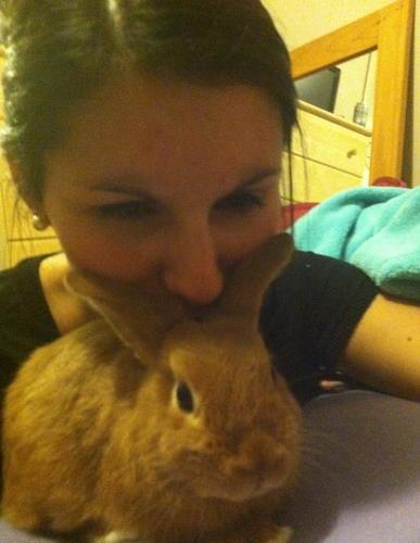 tphlittleph's profile picture. 