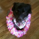 Annie Baxter Jenkins - @AnnieBJenkins - Twitter