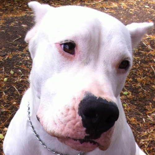 LyleBarg's profile picture. 