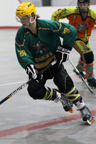#28 edmonton ducks '93