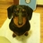 nori_nori1114's profile image