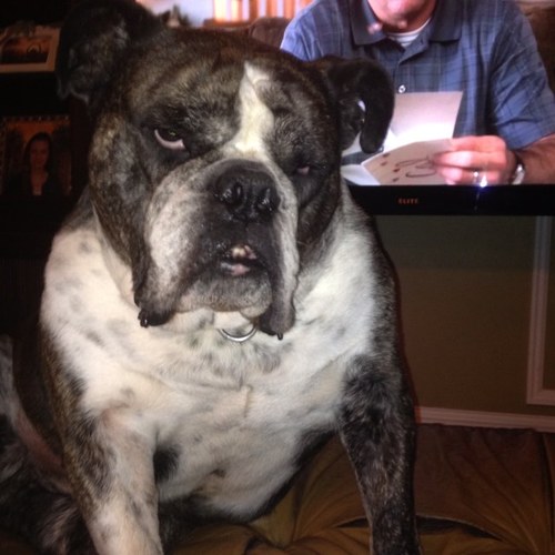 gabrusci4380's profile picture. 