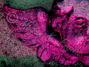 ColorAndCanvas's profile picture. Artist, pagan, vegetarian, collector, cemetery hunter & most importantly mommy. Buy prints & other goodies at http://t.co/a2YDGQgaVq