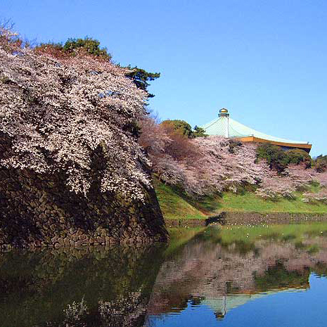 首都東京の中心地「千代田区」は、政治・経済機能の集中する地域として、また、文化の中心地として発展してまいりました。ウェブサイト「千代田遺産」では、区内にあふれる歴史的建造物、文化、芸術、自然など、未来の世代に引き継ぐべき貴重な財産を紹介しています。Twitterでは区内の日常をつぶやきます。