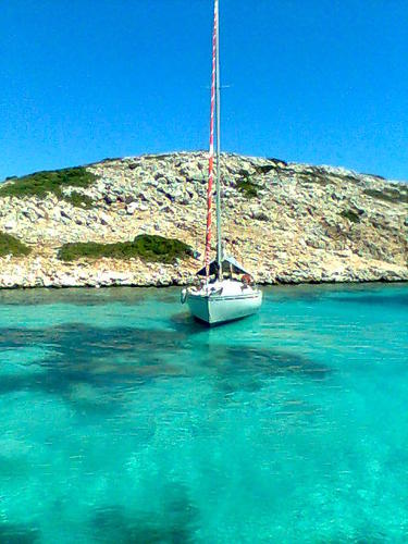 dimiiiiii's profile picture. 