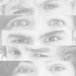 I am a Guy Directionist, Don't mistake me as a girl. ;) :3 :3 :3 DERP TURTLE