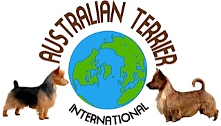 Australian Terrier International for the discriminating Aussie and Aussie Owner.