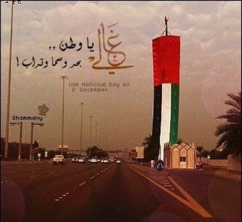 nawarei's profile picture. إماراتية أرادت أن تعيش كما تريد ولكن عاشت كما تريد الحياة ❤️