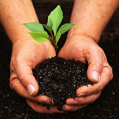 #Gardener #garden #Gardening garden must combine the poetic and he mysterious with a feeling of serenity and joy.