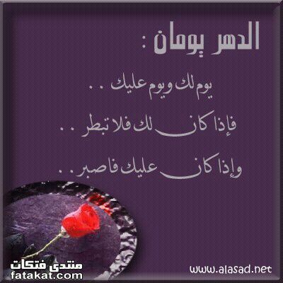 TadawulAlriyadh's profile picture. 