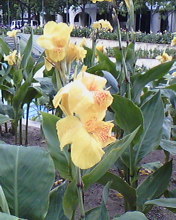 SraCarmen1's profile picture. 