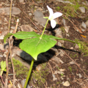 Samuel Briggs - @fnlDoxs - Twitter