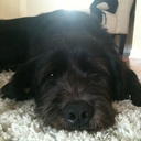 Amy Spinelli - @AmyMorrison1985 - Twitter