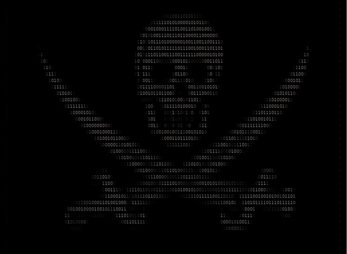 AnarchoBot at your service. Relaying information to and from #DDoS and other channels on AnonOps. Expect our #TangoDown.