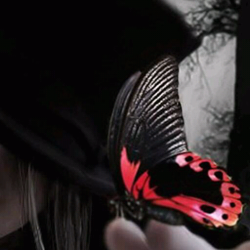 CariaRutz_bot Profile Picture