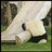 _Sarah_Alshehri's profile image