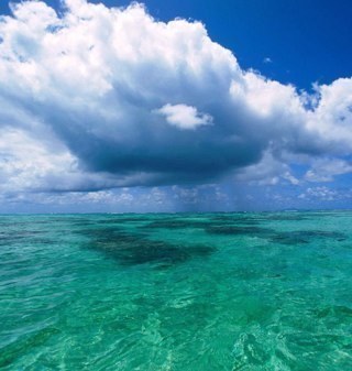 Tweets_Funny_'s profile picture. Make sure you click that follow button. ~ Your daily dose of funny, inspirational, meaningful and many more! ~ Follow, RT and enjoy. #TEAMFOLLOWBACK