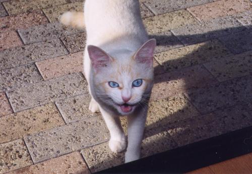 mei05888's profile picture. 香川の季節と行事をまんのう町と讃岐まんのう公園を中心に写真でお届け。過去に讃岐まんのう公園でお勤め。使用カメラ sonyα7cⅡ、sonyα7sⅱ、 lumix DC-G9 、四国カメラ部メンバー