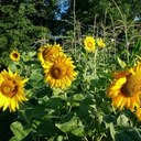 Kendra West - @KendraWestBarry - Twitter