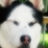 xRiotProof's profile image