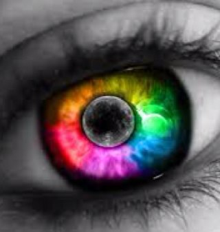 chillin_narwhal's profile picture. life-long learner