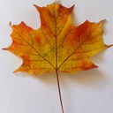 Barry Novak - @barry_novak - Twitter