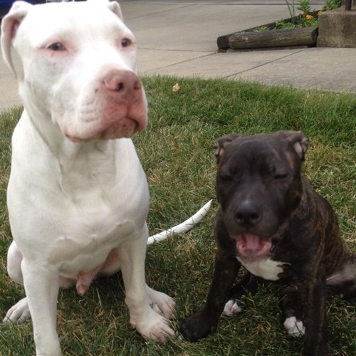 DaFilipineDream's profile picture. 